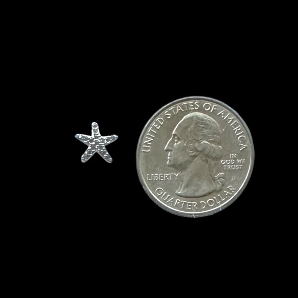 Express Silver Cubic Zirconia Starfish Stud Earrings - Picture 5 of 6
